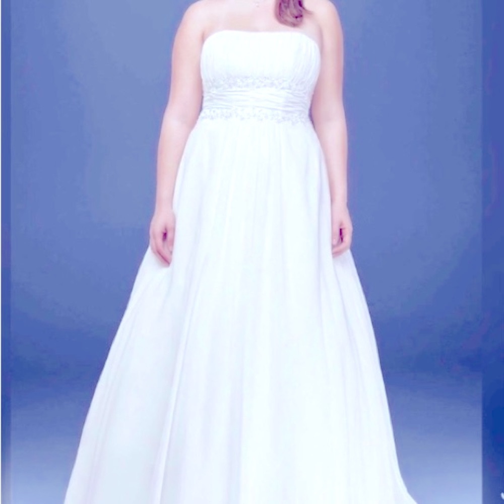 New Chiffon Empire waist Wedding dress, size 18W color Ivory.
